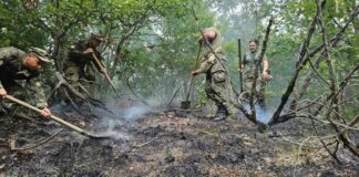 Пожар, военни