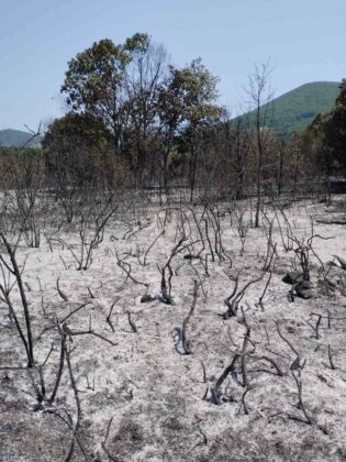 Щети от пожара