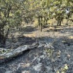 Щети от пожара