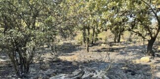 Щети от пожара