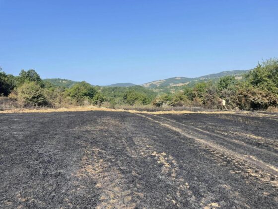 Щети от пожара