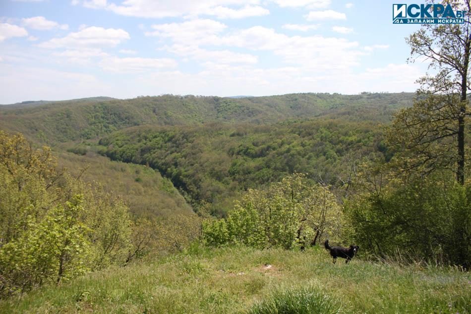 През следващите два дни се очаква висока опасност от пожари