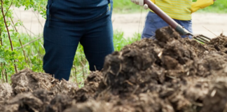 Оборски тор