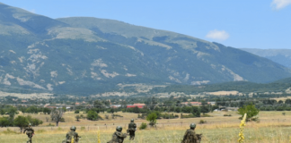 Сухопътна войска