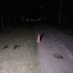 Местопроизшествието в Дянково