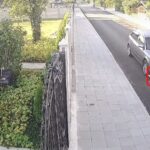 Блъснато куче