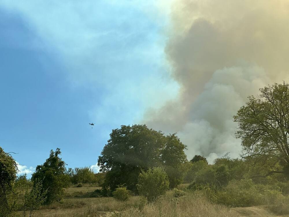 Община Чепеларе обяви частично бедствено положение заради горския пожар който