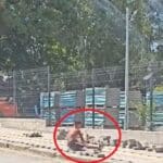 Дете реди плочки