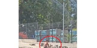 Дете реди плочки