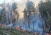 Горски пожар