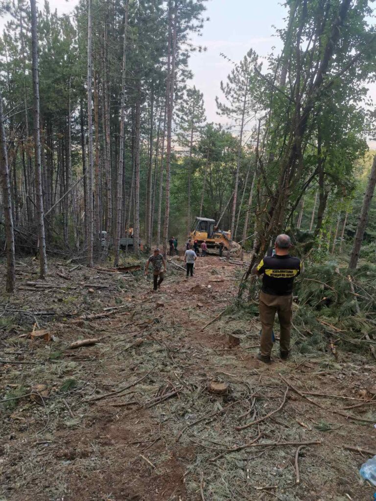 Горски пожар