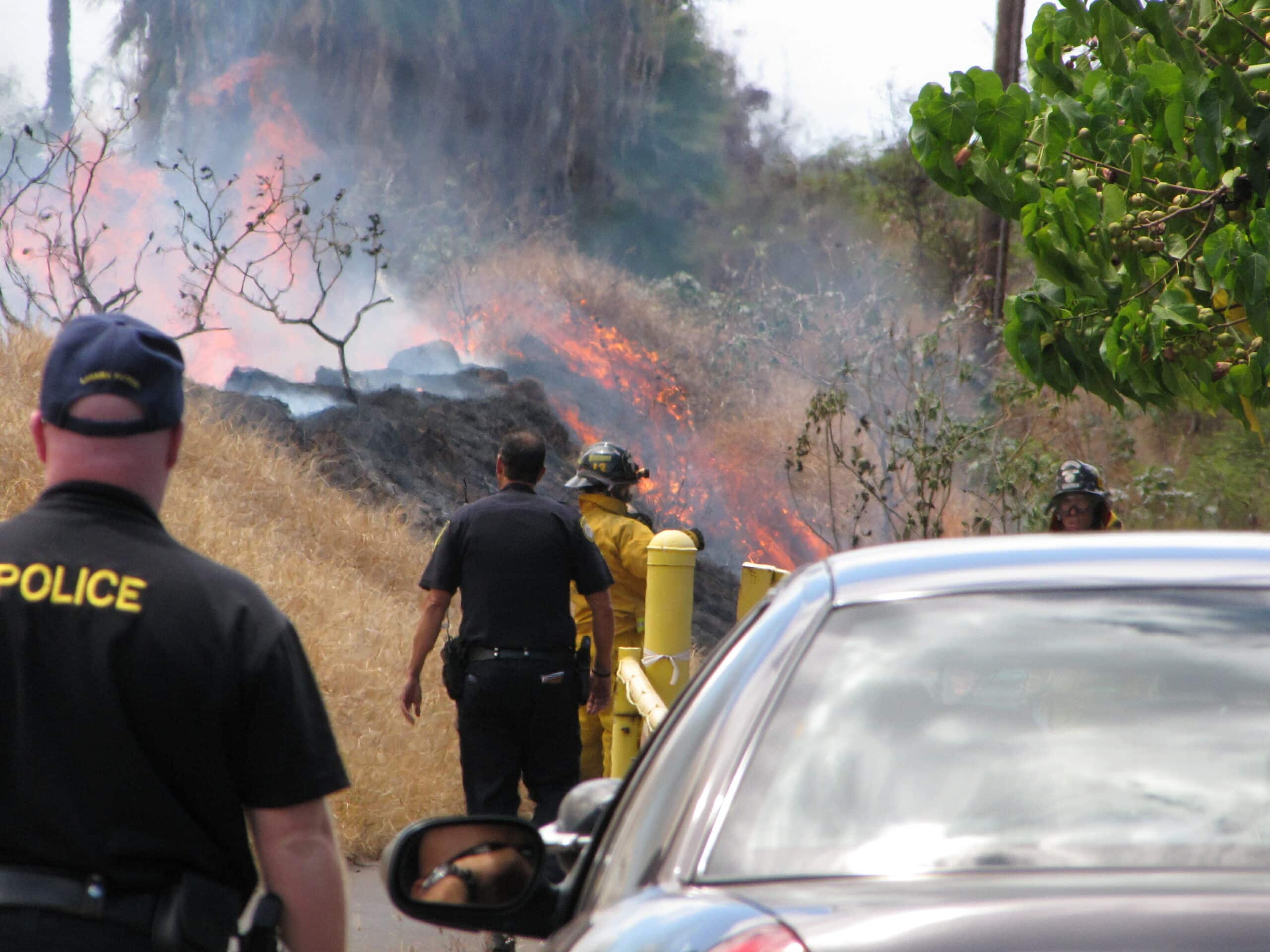 Разтопени останки от стара автомобилна гума Силно обгорели дървета Овъглени