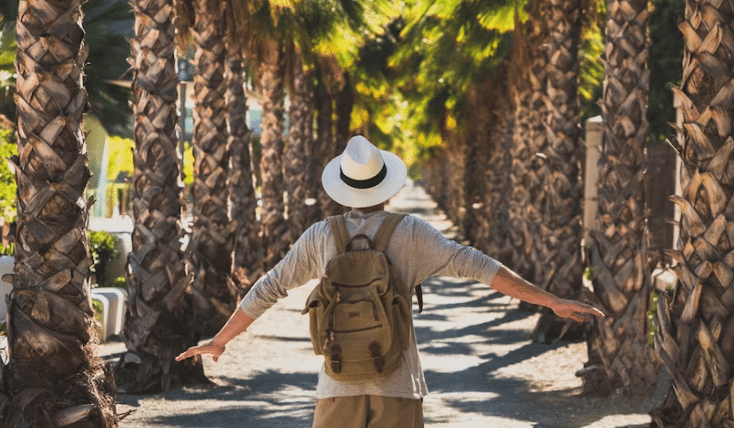 Според последните данни на през декември 2024 г се