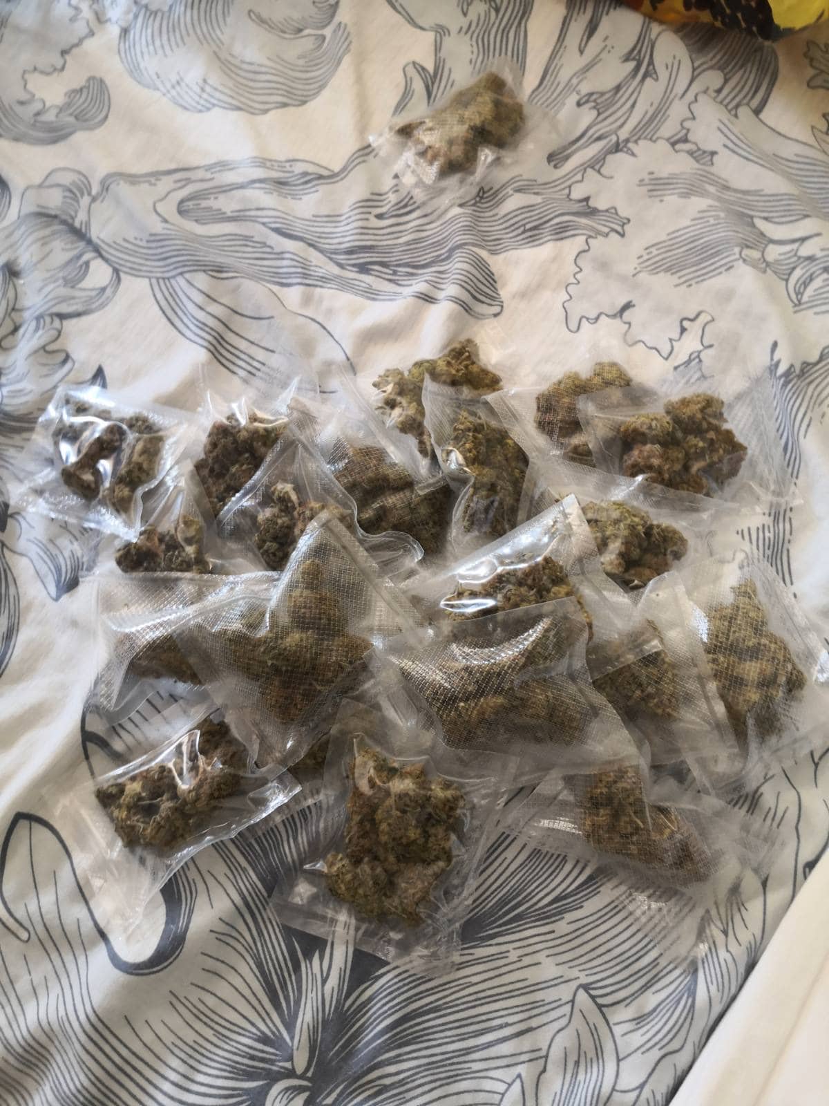 Вчера в хода на специализирана полицейска операция за противодействие държането