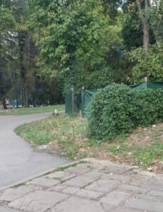 Незаконен кучкарник