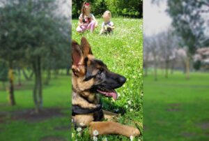 Деца и куче