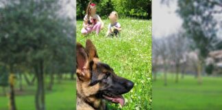 Деца и куче