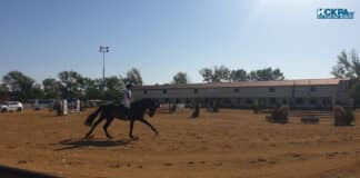 Конен спорт