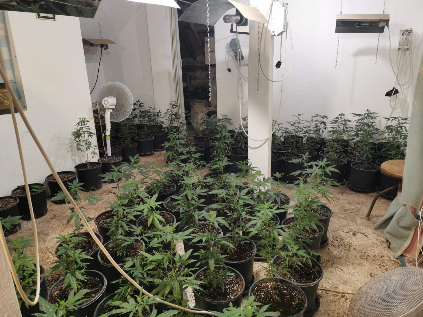 Криминалисти от ОДМВР Варна разкриха помещения за отглеждане на растения от