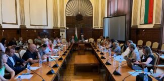 Консултативен съвет