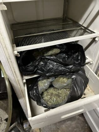 Наркооранжерия