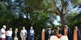 Първа копка