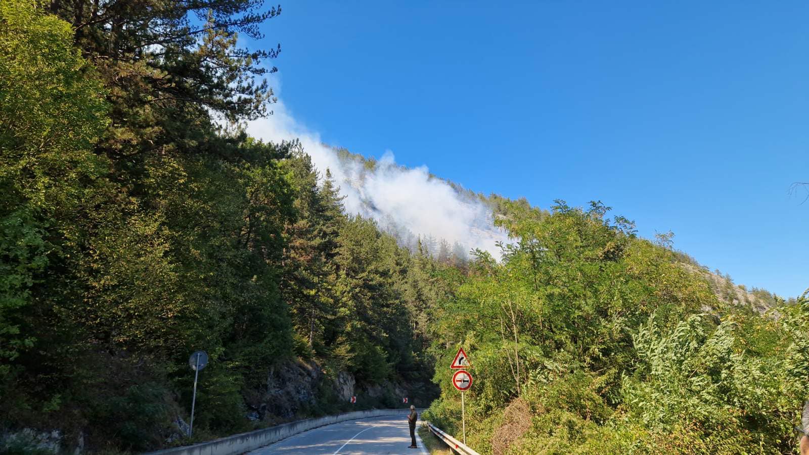 Голям пожар гори край чепеларското село Хвойна съобщиха от Южноцентрално
