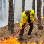 Горски пожар