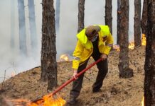 Горски пожар