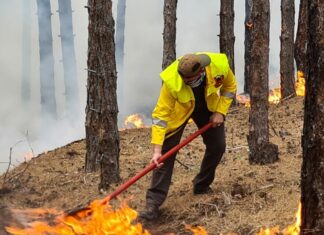 Горски пожар