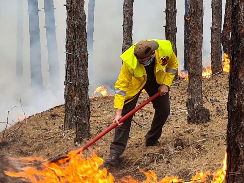 Пожарът край Хасково е засегнал площ от 15 км и
