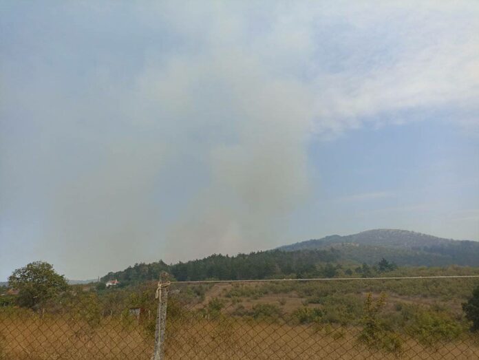 Пожар в Изворище