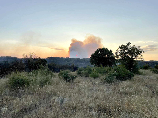 Пожар гори на българо-турската граница, съобщиха от Главна дирекция Пожарна