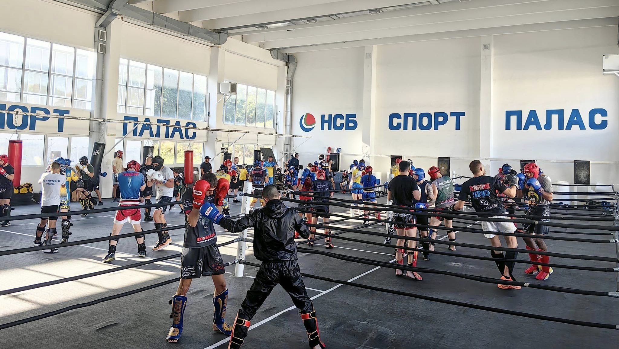 От 10 30 часа утре в зала 2 на Националната спортна