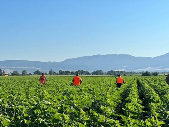Кирил Вътев и ловци