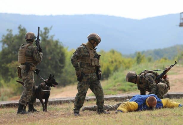 Демонстрации