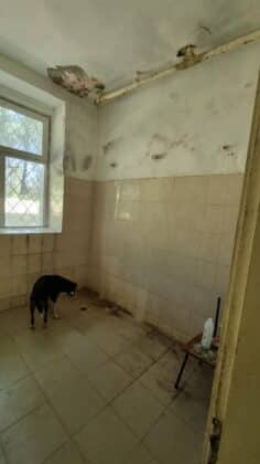 Държавна психиатрична болница-Бяла