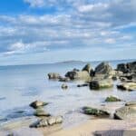 Кадър на Ейдън Ливингстън