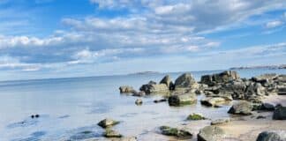 Кадър на Ейдън Ливингстън