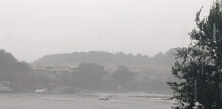 Къмпинг "Арапя"