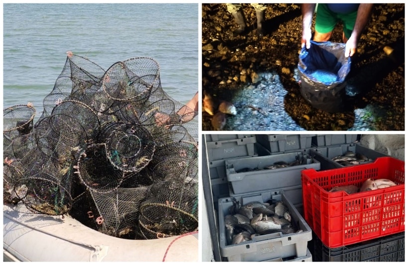Служителите на Изпълнителната агенция по рибарство и аквакултури ИАРА проведоха