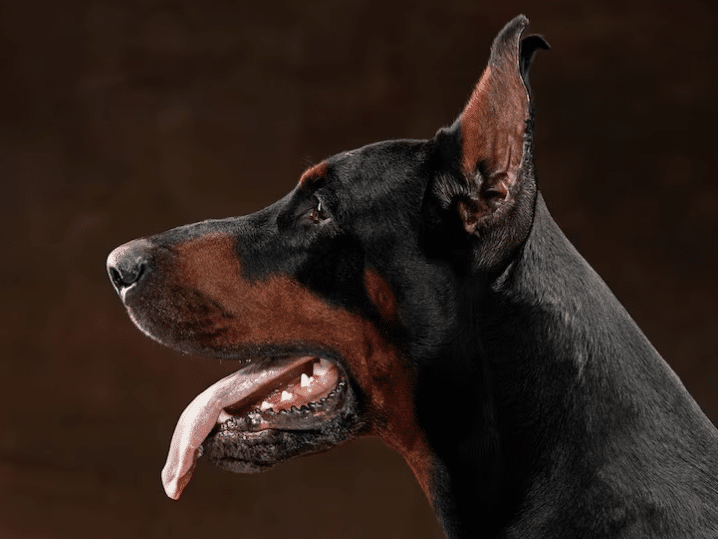 Жената е претърпяла операция на ръката Лекарите в местната