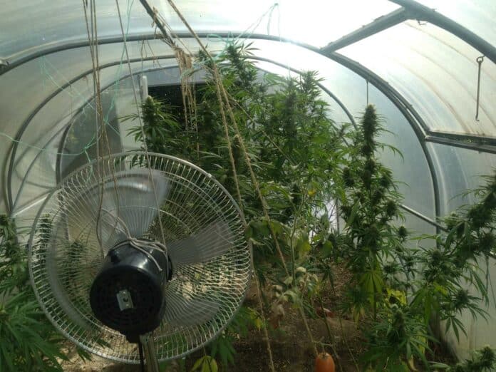 Наркотици, упойващи вещества