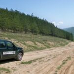 Гранична полиция