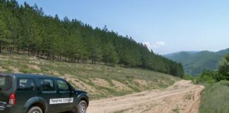 Гранична полиция