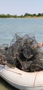 Капани за раци