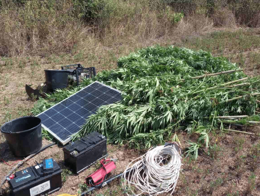 Специализирана полицейска операция е проведена от служители на Главна Дирекция