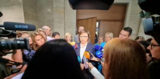 Корнелия Нинова