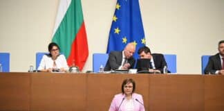 Корнелия Нинова