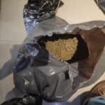 Наркотици във Варна